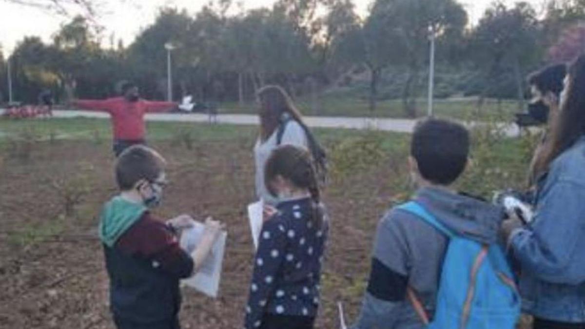Escolares participando en Jardins de Pol·linitzadors. | AJUNTAMENT