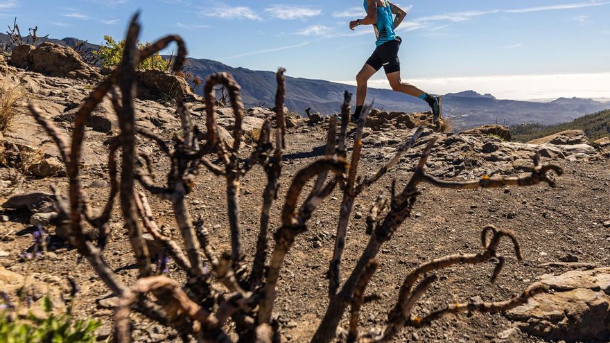 Cartel de lujo en el Campeonato de España de Trail Running Port Sant Miquel