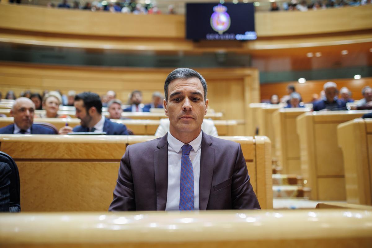 El presidente del Gobierno, Pedro Sánchez, durante una sesión de control al Gobierno en el Senado, a 22 de noviembre de 2022, en Madrid (España).  /