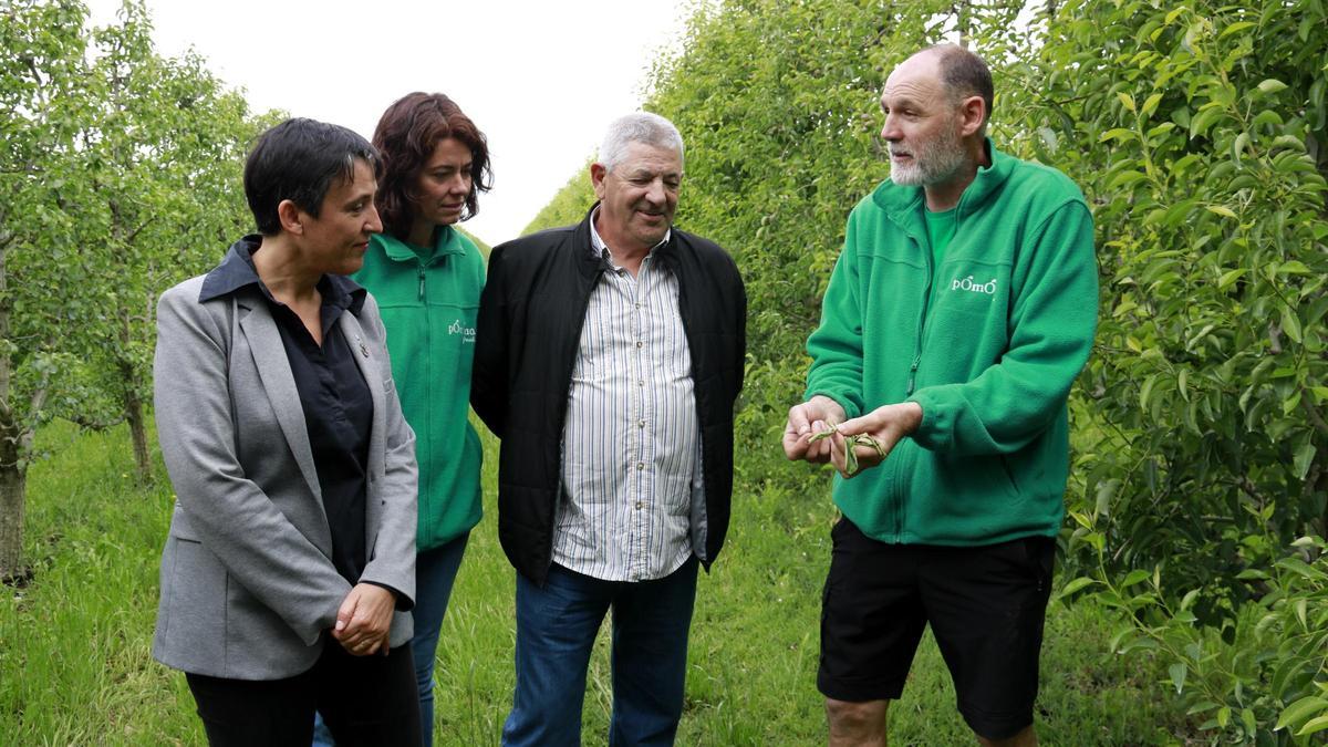 El propietari d'una finca ecològica de Penelles mostra fullam dels arbres a la directora general d'Agricultura i Ramaderia i el president del CCPAE