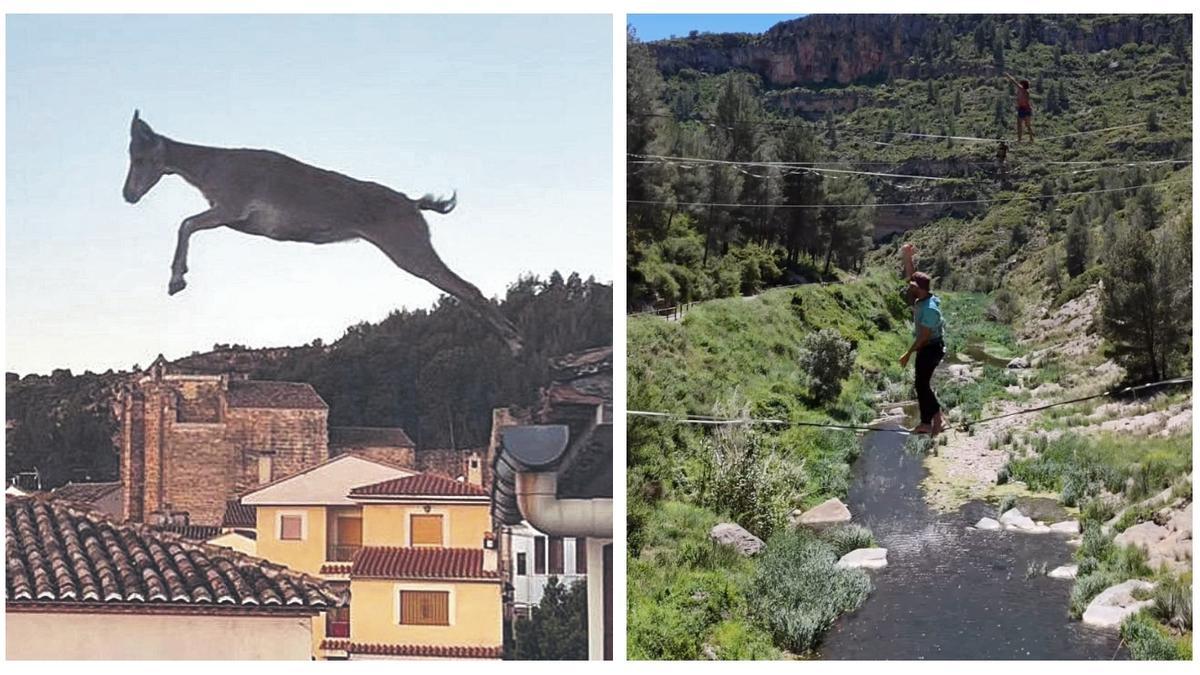 A la izquierda, una cabra saltando de tejado en tejado en Jérica. A la derecha, un grupo de funambulistas sobre cuerdas en el mismo pueblo.
