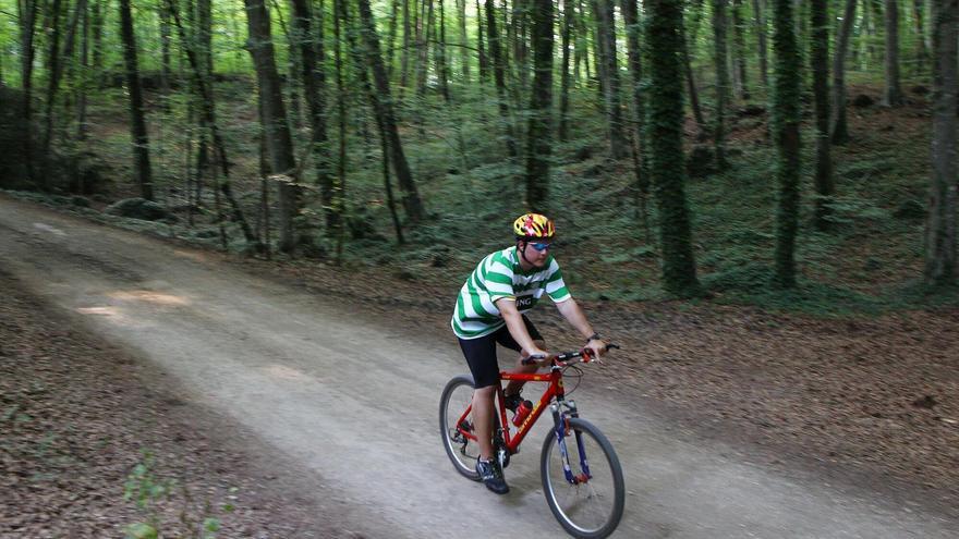 El bosque de Catalunya que fascinó a Joan Maragall: sigue hipnotizando a quien lo visita