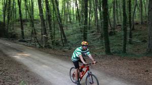 El bosc de Catalunya que va fascinar Joan Maragall: continua hipnotitzant qui el visita