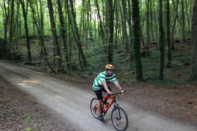 El bosc de Catalunya que va fascinar Joan Maragall: continua hipnotitzant qui el visita