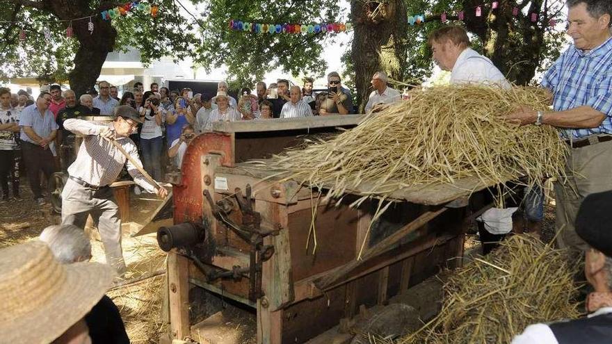 Decenas de curiosos contemplan cómo se desgrana el cereal con maquinaria. // Bernabé/Javier Lalín