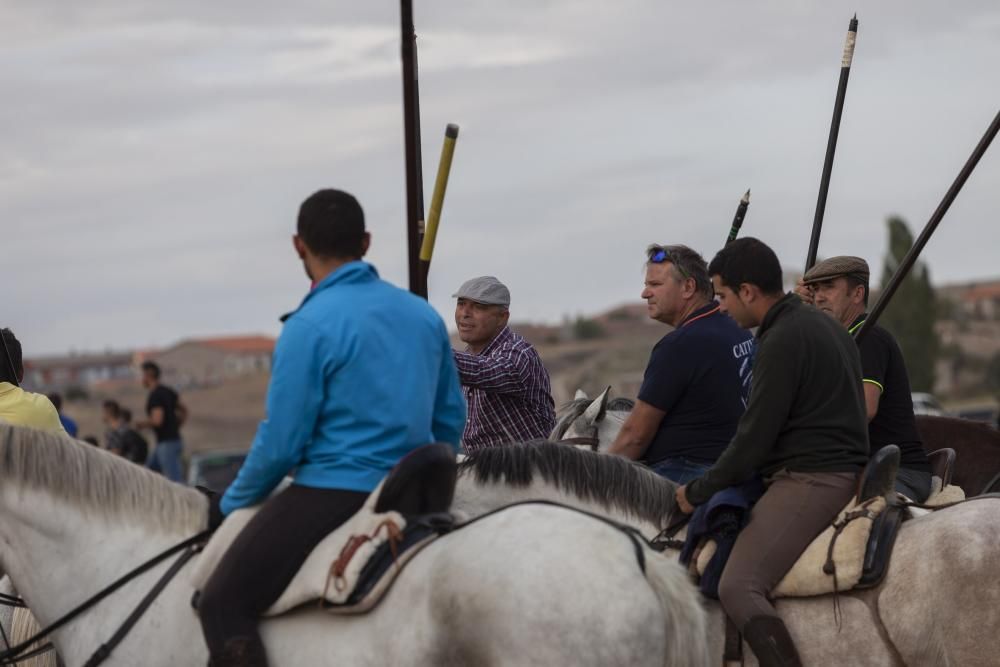 Encierro campero en Pereruela