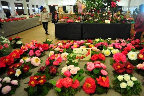 La camelia, la flor más deseada