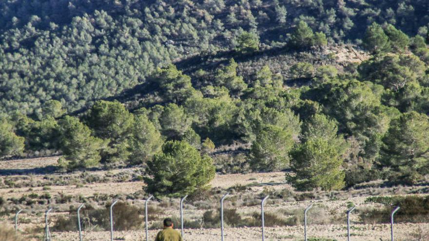 Imagen de la umbría de Sierra Escalona/Foto Tony Sevilla