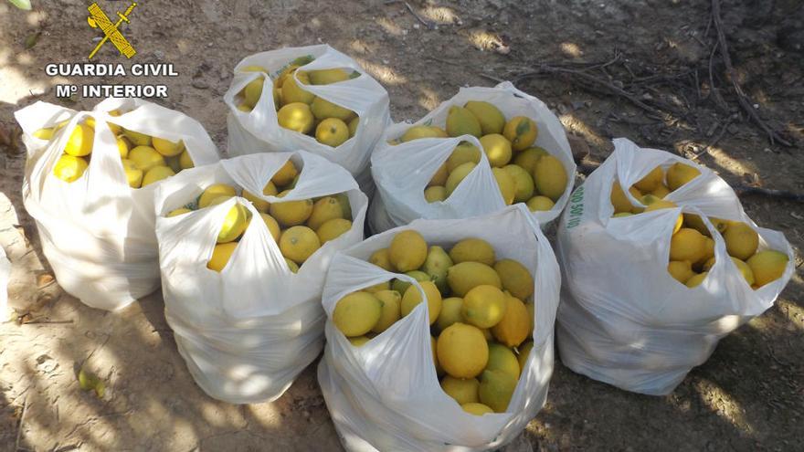 Bolsas de limones preparadas para que se las lleven los ladrones