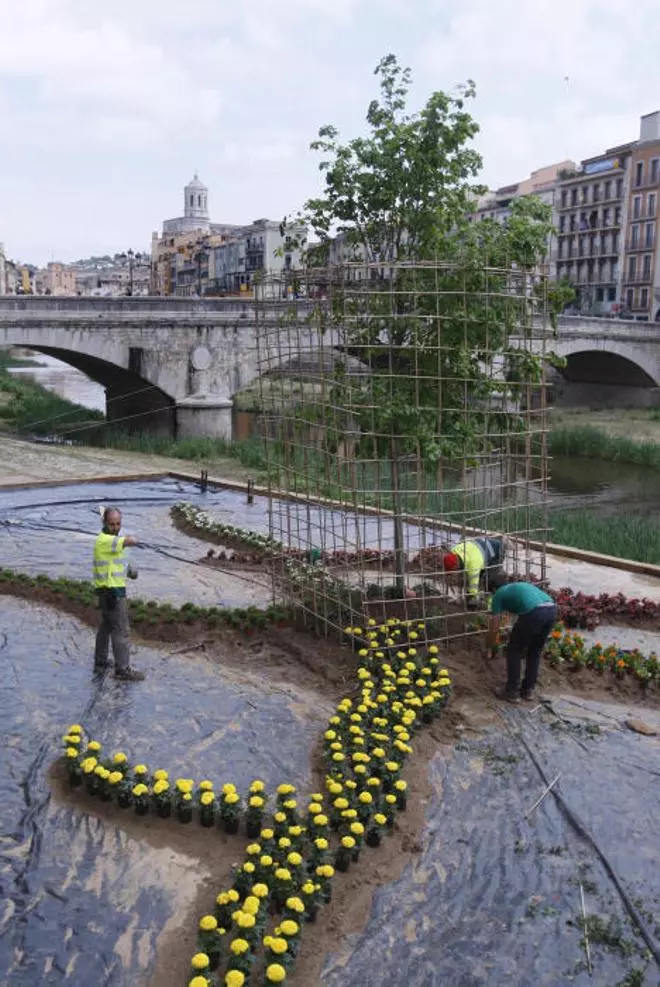 Preparatius de Temps de Flors