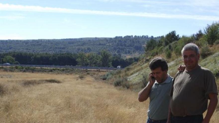 Dos personas observan un lobo atropellado en Santa Colomba de Sanabria.