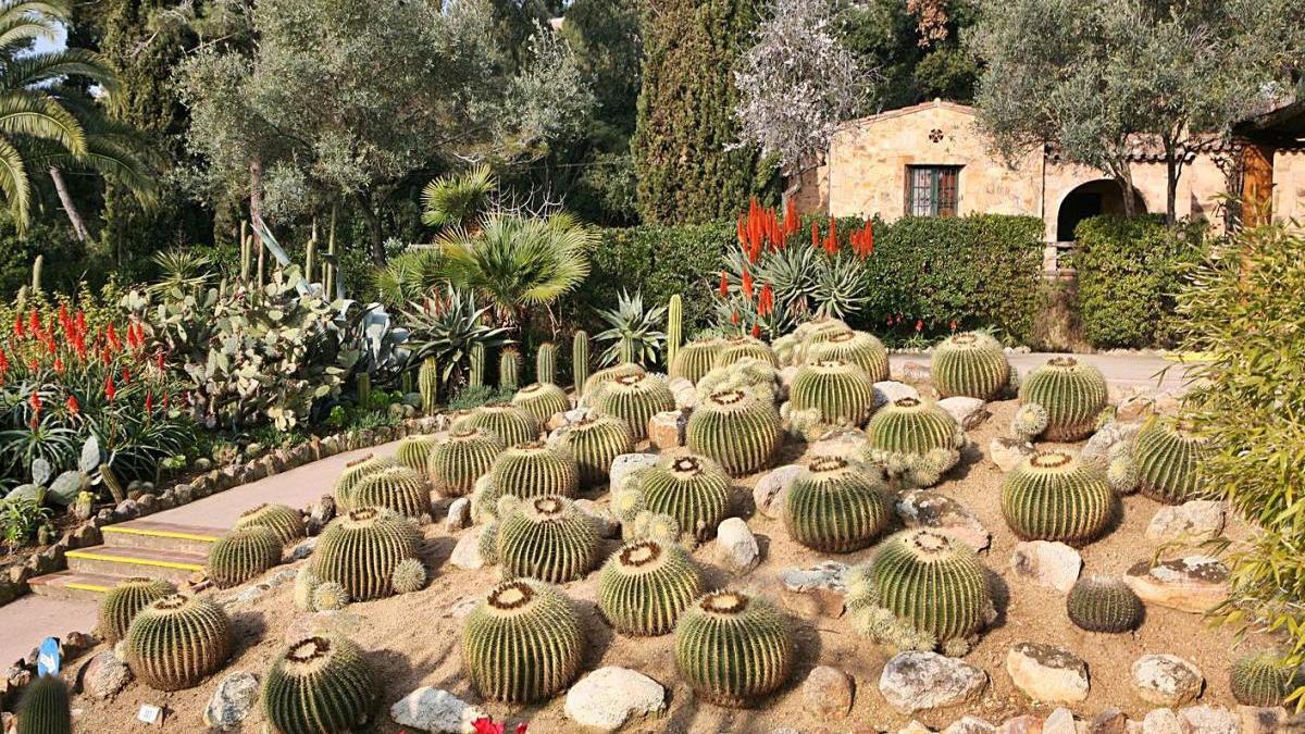 Els jardins Pinya de Rosa de Blanes, en una imatge de 2005.