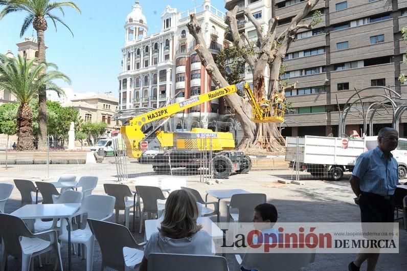 El estado final del ficus de Santo Domingo