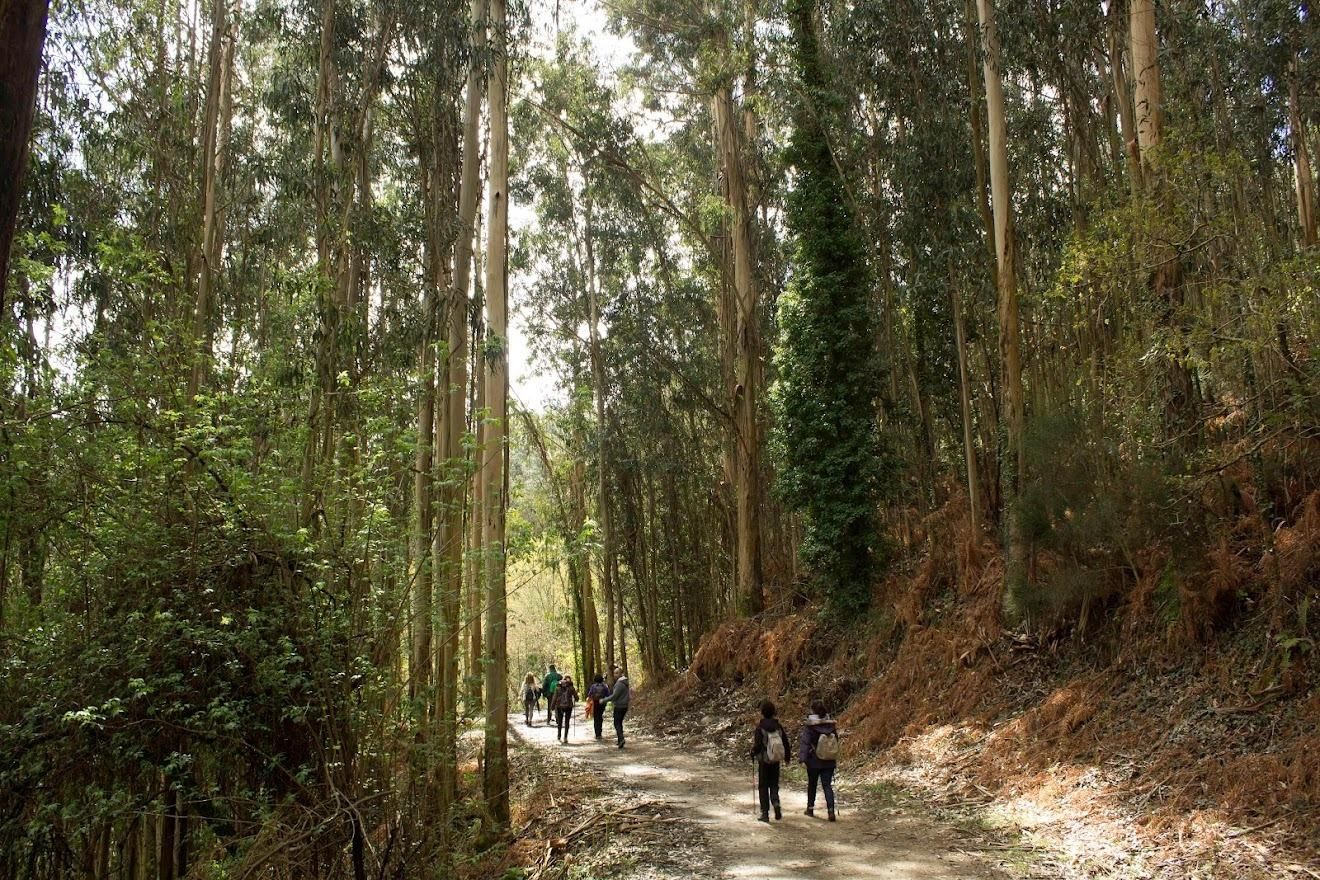 Un Vigo para caminar y perderse: 11 rutas imprescindibles de todos los niveles