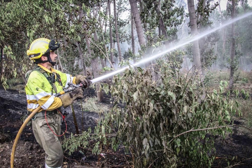 Incendio forestal en Muro