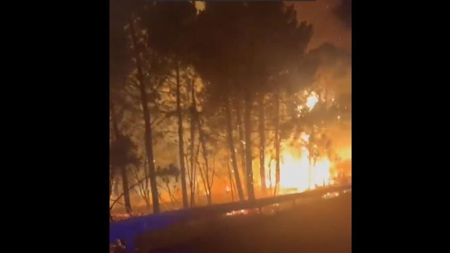 Un incendi empès pel vent a Breda crema prop d&#039;una hectàrea de massa forestal