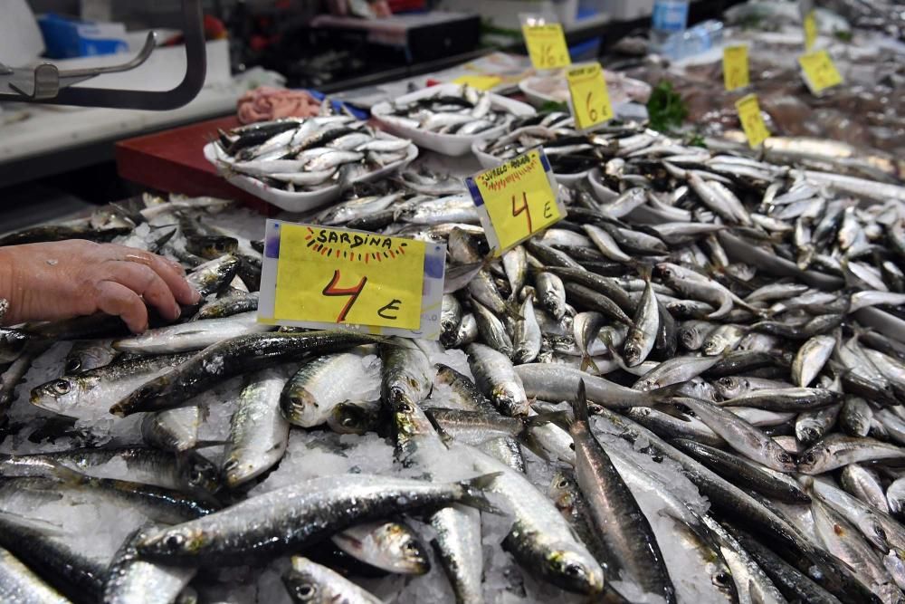 San Juan A Coruña 2017: Sardinas en las plazas