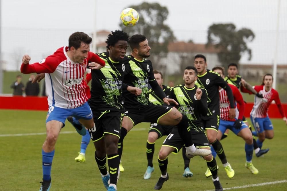 Sporting B-Rayo Majadahonda