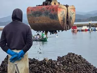 Los bateeiros, cada vez más preocupados, intentan seguir remando