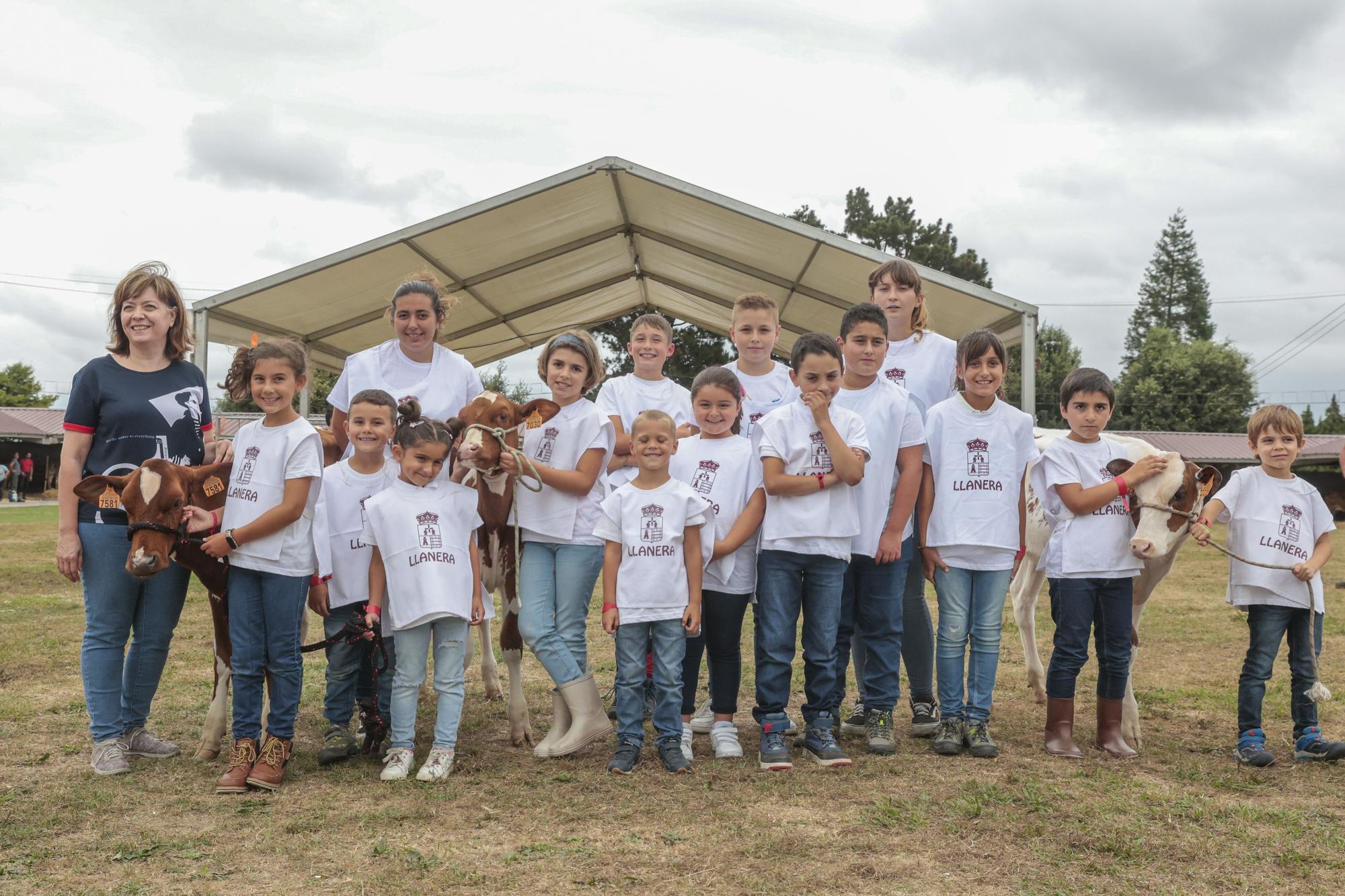 Los jóvenes de Llanera aprenden a manejar el ganado