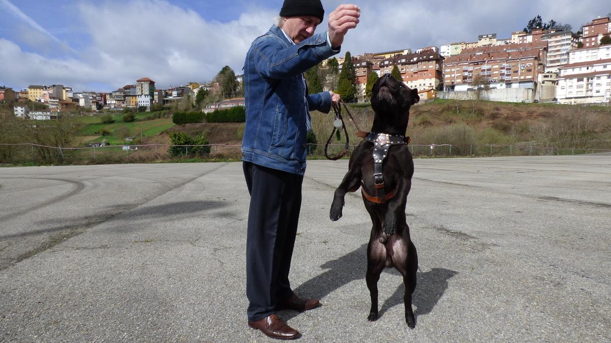 "Rol" el "Gran perro del año" de la Feria de Tineo