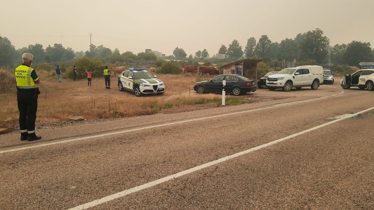 Zamora, el infierno en llamas