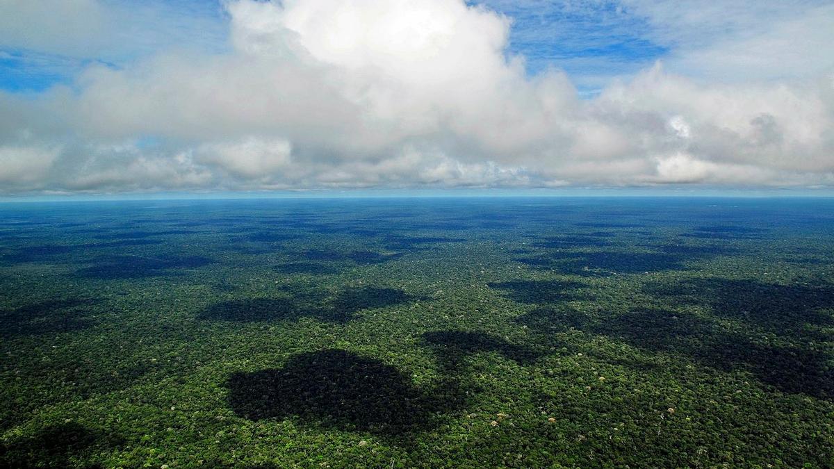 La Amazonia es la selva tropical más grande del mundo.
