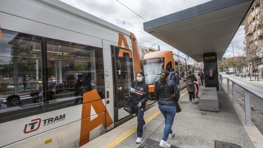 El TRAM refuerza su servicio de tranvías para facilitar el acceso a Alicante en Santa Faz