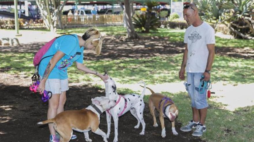 Dos personas juegan con sus mascotas en la zona específica para perros del parque Romano. | josé carlos guerra
