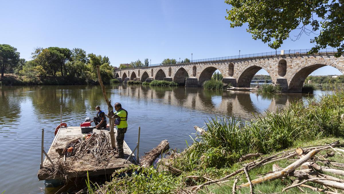 Los restos de maleza y madera se apilan en la orilla