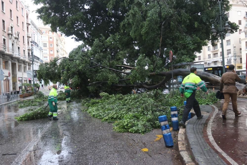 Las incidencias de la borrasca Ana en Málaga