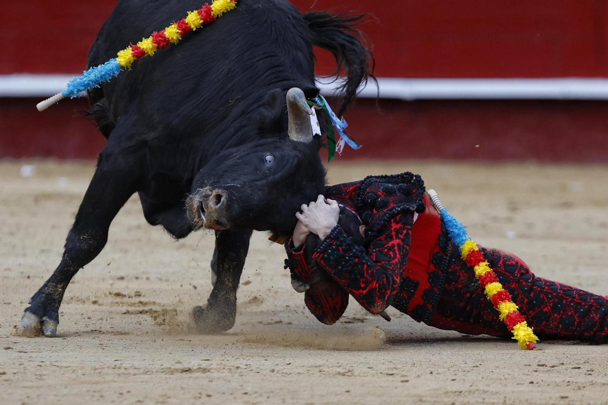 La novillada sin picadores de la Feria de Fallas, en imágenes