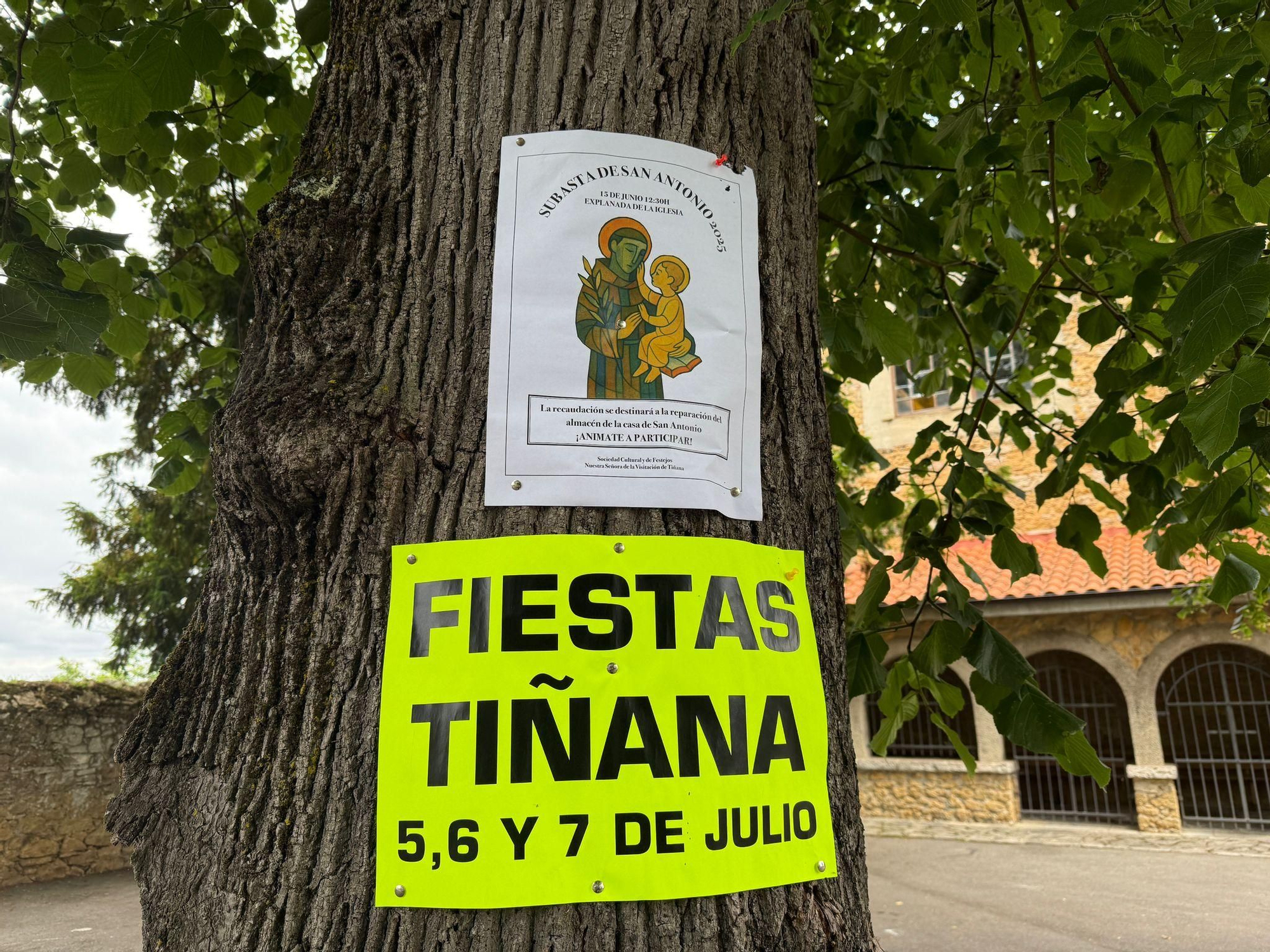 Tiñana celebra San Antonio con procesión, rifa, y la vista puesta en el 25.º aniversario de sus fiestas