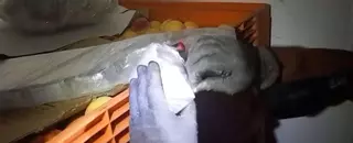 Vídeo | Aturen un camioner a l’AP-7 a Borrassà per parlar pel mòbil i intercepten més de 400 quilos de droga amagada entre fruita