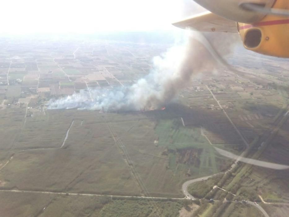 Die Feuerwehr bekämpft einen Waldbrand, der am Donnerstag (29.9.) im Gebiet der s'Albufera (Muro) an der Ostküste ausgebrochen ist.