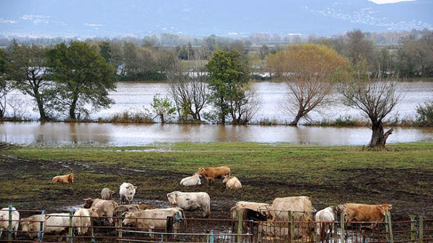 Els camps, totalment inundats