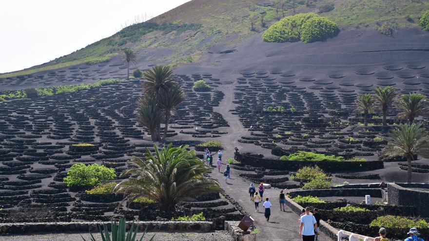 Maridajes, senderismo y cata a ciegas, entre las actividades para los amantes del vino en Lanzarote