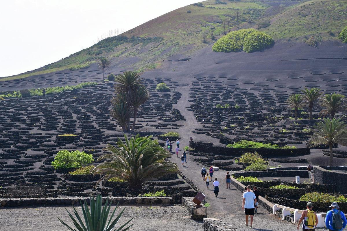Sendero de Testeina, en La Geria, en la Semana de la Malvasía en 2022.