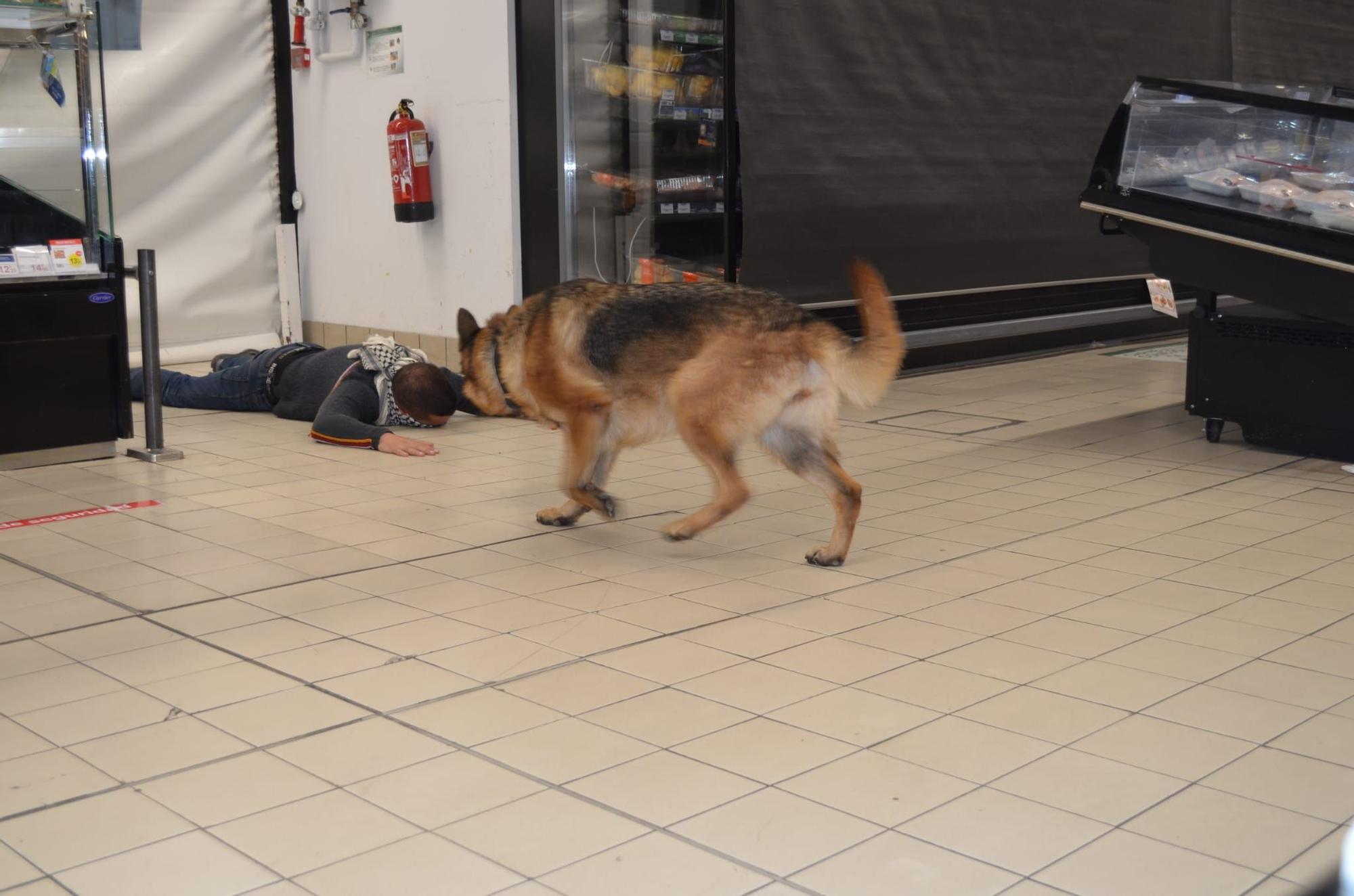 GALERÍA | Simulacro de atentado terrorista en el Centro Comercial Valderaduey de Zamora