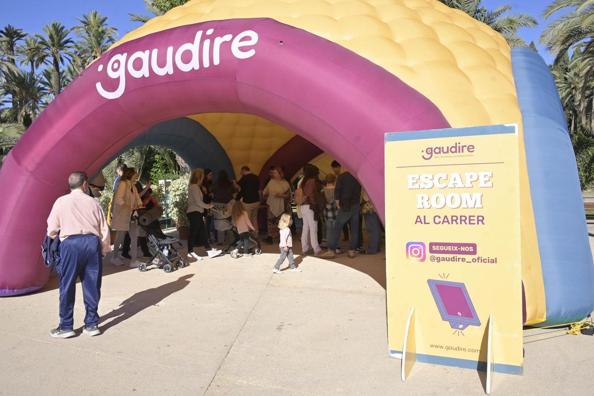 Así ha sido el scape room para reivindicar el Palmeral de Elche