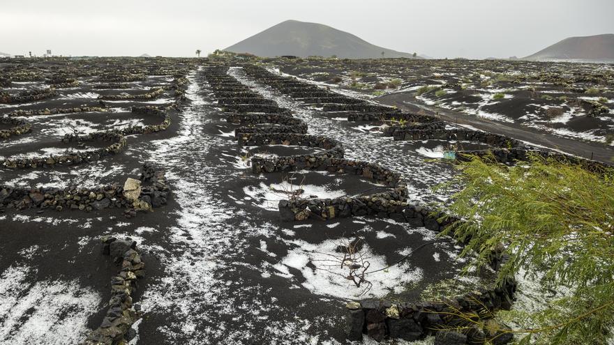 El granizo cubre las viñas en Lanzarote.