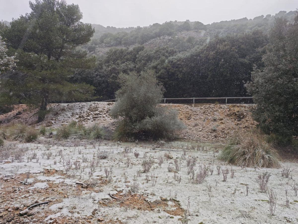 FOTOS | Nieve en la finca de Son Torrella, en la Serra.