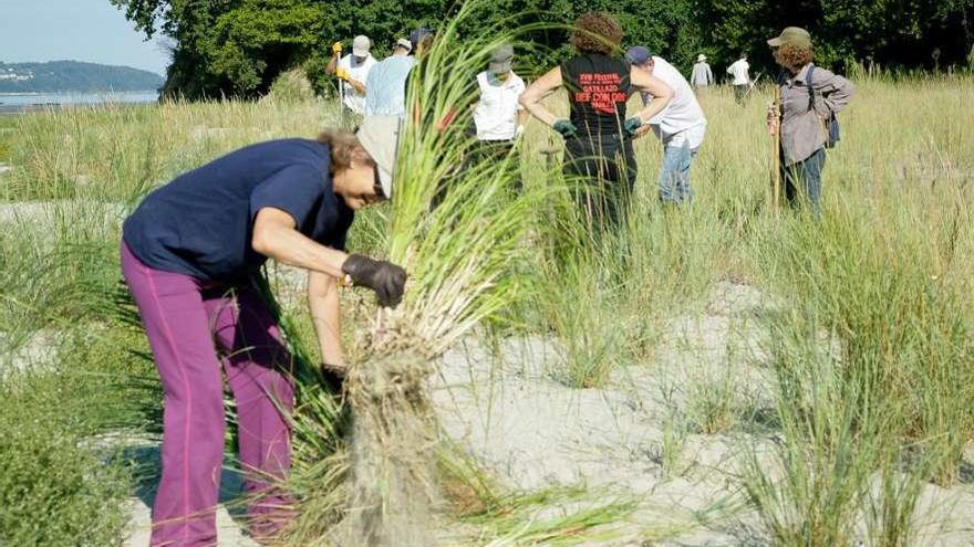 La Diputación accede a revisar las bases de las ayudas a entidades ecologistas tras las quejas