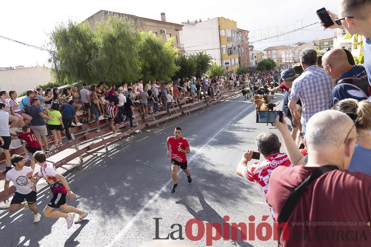Primer encierro de las Fiestas de Moratalla