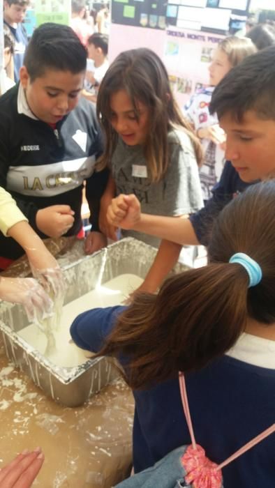 Unos 500 alumnos de instituto Bezmiliana de la localidad rinconera han participado en experimentos relacionados con el mundo de la ciencia aportando información y compartiendo experiencias