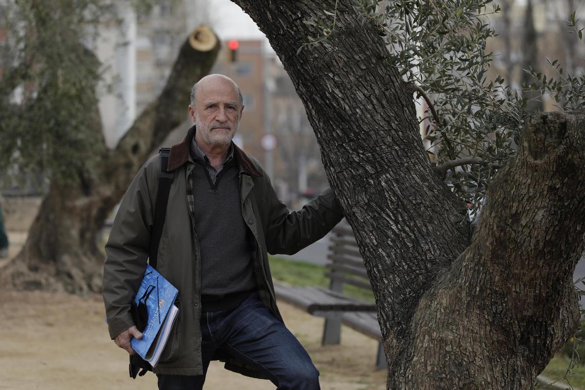 Juanjo Fernández frente a los olivos.