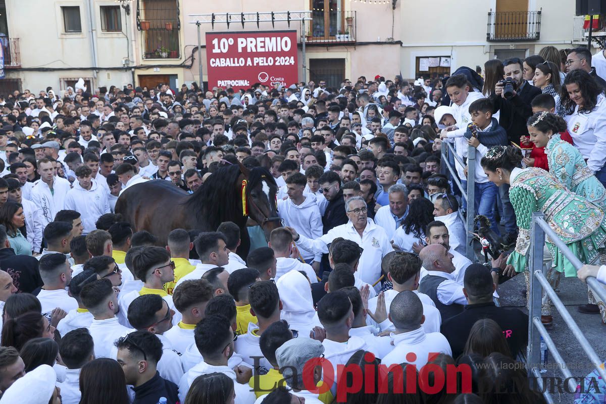 Entrega de premios del concurso de 'Caballo a pelo' en Caravaca