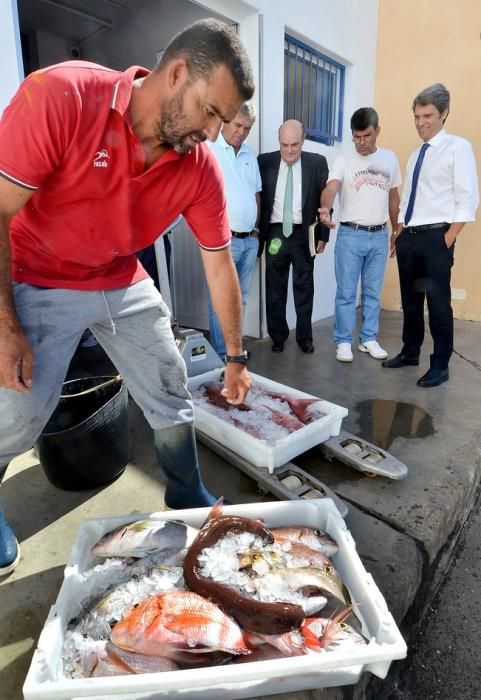 COFRADIAS PESCADORES AGAETE HERNANDEZ BENTO