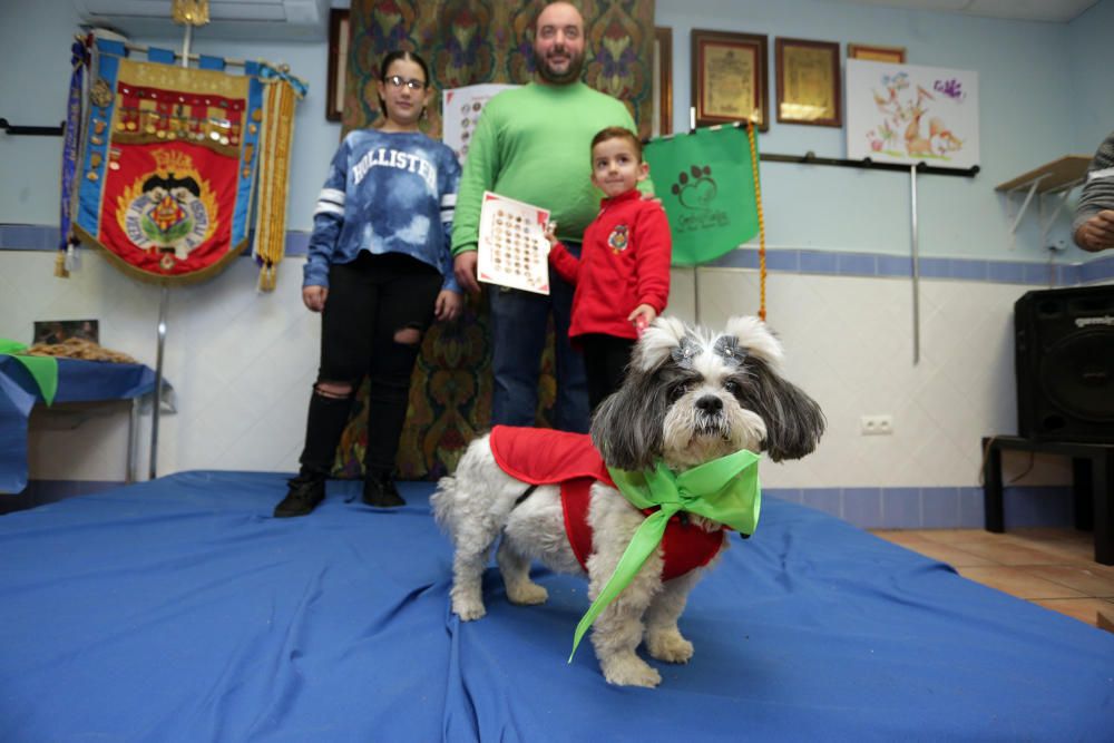 La primera falla canina de València