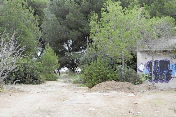 In Es Carnatge, dem letzten unverbauten Küstenabschnitt Palmas, aasten einst die Geier. Nun soll hier ein Park entstehen.